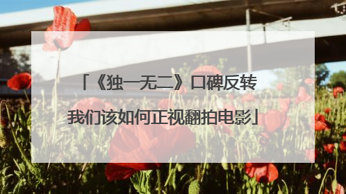 《独一无二》口碑反转 我们该如何正视翻拍电影