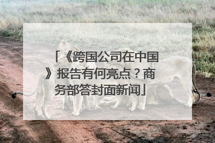 《跨国公司在中国》报告有何亮点？商务部答封面新闻