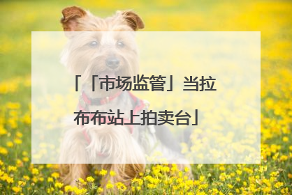 「市场监管」当拉布布站上拍卖台