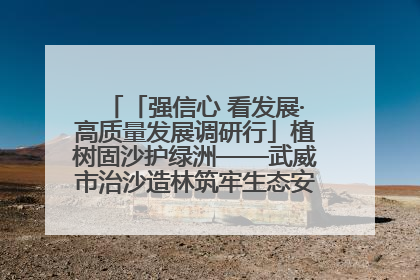 「强信心 看发展·高质量发展调研行」植树固沙护绿洲——武威市治沙造林筑牢生态安全屏障见闻