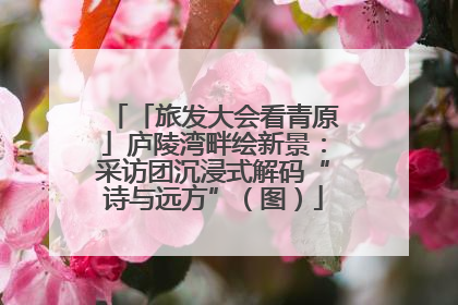 「旅发大会看青原」庐陵湾畔绘新景：采访团沉浸式解码“诗与远方”（图）