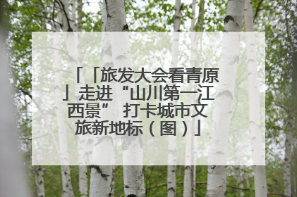 「旅发大会看青原」走进“山川第一江西景” 打卡城市文旅新地标（图）