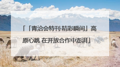 「青洽会特刊·精彩瞬间」高原心跳 在开放合作中澎湃