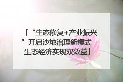 “生态修复+产业振兴”开启沙地治理新模式 生态经济实现双效益