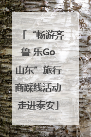 “畅游齐鲁 乐Go山东”旅行商踩线活动走进泰安