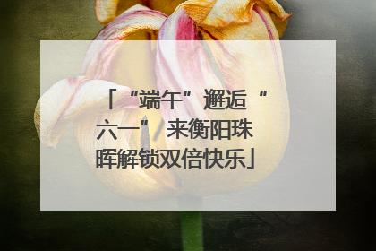 “端午”邂逅“六一” 来衡阳珠晖解锁双倍快乐
