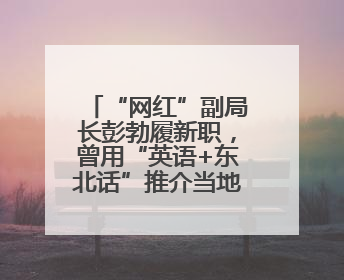 “网红”副局长彭勃履新职，曾用“英语+东北话”推介当地大米