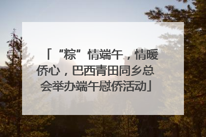 “粽”情端午，情暖侨心，巴西青田同乡总会举办端午慰侨活动