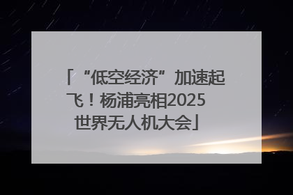 “低空经济”加速起飞！杨浦亮相2025世界无人机大会