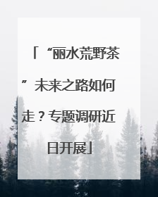 “丽水荒野茶”未来之路如何走？专题调研近日开展