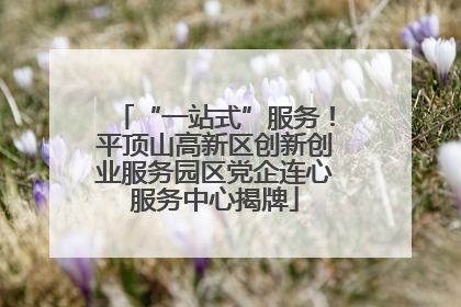 “一站式”服务！平顶山高新区创新创业服务园区党企连心服务中心揭牌