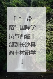 “一带一路”国际学员与西藏干部到长沙县湘丰村研学