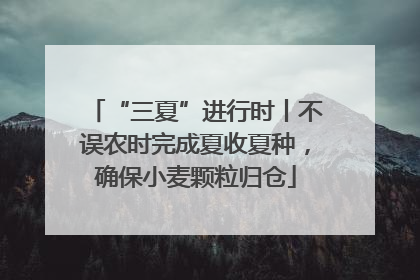 “三夏”进行时丨不误农时完成夏收夏种，确保小麦颗粒归仓