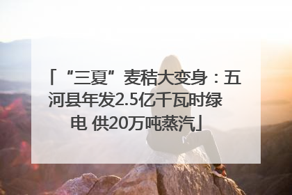 “三夏”麦秸大变身：五河县年发2.5亿千瓦时绿电 供20万吨蒸汽