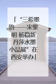 “三希墨韵——宋黎明 杨稳新 丹萍水墨小品展”在西安举办