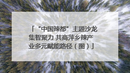 “中国辣都”主题沙龙集智聚力 共商萍乡辣产业多元赋能路径（图）