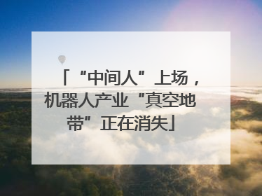 “中间人”上场，机器人产业“真空地带”正在消失