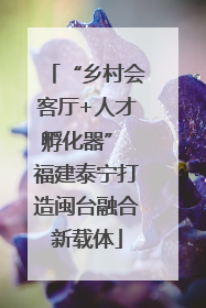 “乡村会客厅+人才孵化器” 福建泰宁打造闽台融合新载体