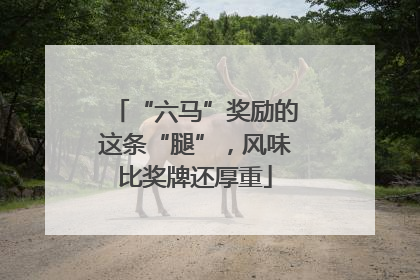 “六马”奖励的这条“腿”，风味比奖牌还厚重
