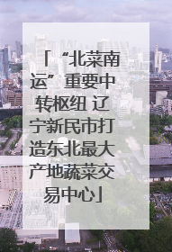 “北菜南运”重要中转枢纽 辽宁新民市打造东北最大产地蔬菜交易中心