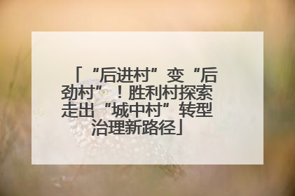 “后进村”变“后劲村”！胜利村探索走出“城中村”转型治理新路径