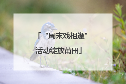 “周末戏相逢”活动绽放莆田