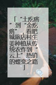 “土疙瘩”到“金疙瘩”，看肥城旅店村生姜种植从传统农作到“云上”热销的蝶变之路