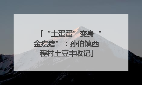 “土蛋蛋”变身“金疙瘩”：孙伯镇西程村土豆丰收记
