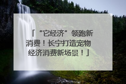 “它经济”领跑新消费！长宁打造宠物经济消费新场景！