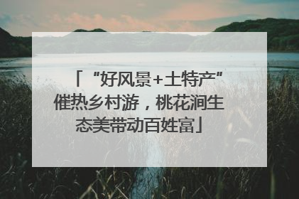 “好风景+土特产”催热乡村游，桃花涧生态美带动百姓富