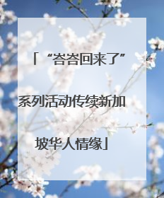 “峇峇回来了”系列活动传续新加坡华人情缘