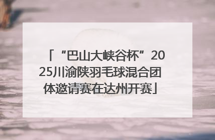 “巴山大峡谷杯”2025川渝陕羽毛球混合团体邀请赛在达州开赛