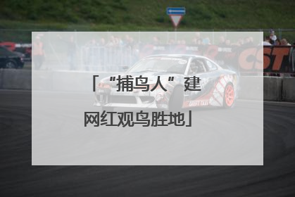 “捕鸟人”建网红观鸟胜地