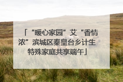 “暖心家园”艾“香情浓”滨城区秦皇台乡计生特殊家庭共享端午