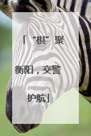 “棋”聚衡阳，交警护航