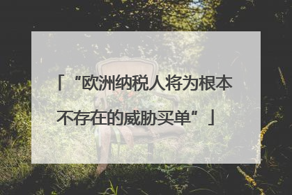“欧洲纳税人将为根本不存在的威胁买单”