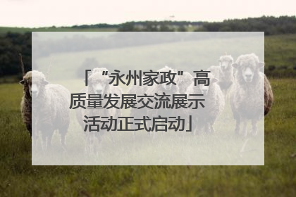 “永州家政”高质量发展交流展示活动正式启动