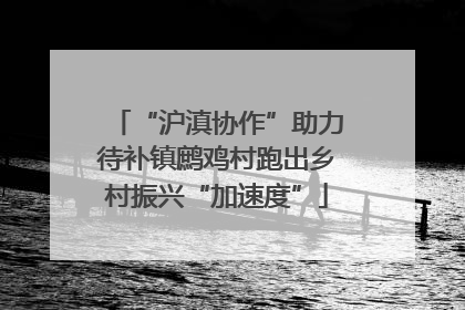 “沪滇协作”助力待补镇鹧鸡村跑出乡村振兴“加速度”