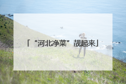 “河北净菜”靓起来