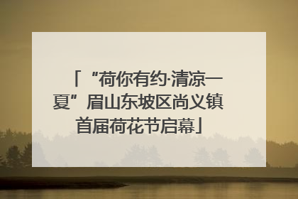 “荷你有约·清凉一夏”眉山东坡区尚义镇首届荷花节启幕