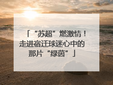 “苏超”燃激情！走进宿迁球迷心中的那片“绿茵”