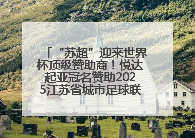 “苏超”迎来世界杯顶级赞助商！悦达起亚冠名赞助2025江苏省城市足球联赛盐城赛区