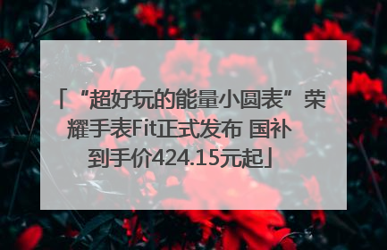“超好玩的能量小圆表”荣耀手表Fit正式发布 国补到手价424.15元起