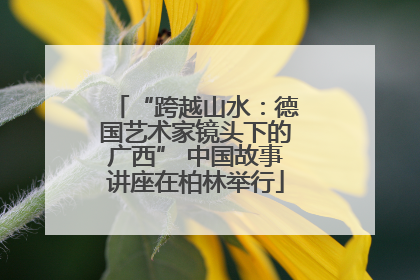 “跨越山水：德国艺术家镜头下的广西” 中国故事讲座在柏林举行
