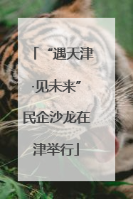 “遇天津·见未来”民企沙龙在津举行