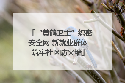 “黄鹤卫士”织密安全网 新就业群体筑牢社区防火墙