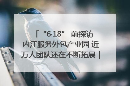 “6·18” 前探访内江服务外包产业园 近万人团队还在不断拓展｜内江东兴“红”在哪⑤