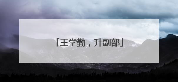 王学勤，升副部