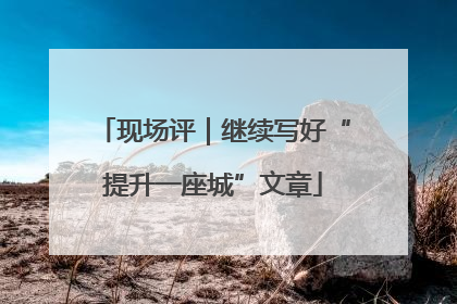 现场评｜继续写好“提升一座城”文章