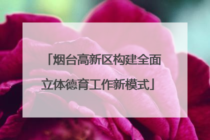 烟台高新区构建全面立体德育工作新模式